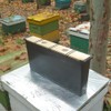 1 Pack 4L Bee Pro Feeder, Beehive Frame Feeder Deep