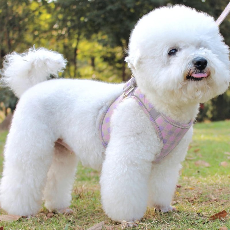 Kuveela Pet Harness and Leash Set, for Dogs and Cats,