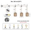 ALAISLYC 3 Lights Plug in Pendant Light with Cord On/Off
