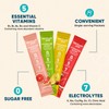 Venture Pal Sugar Free Electrolyte Powder Packets - Liquid Daily