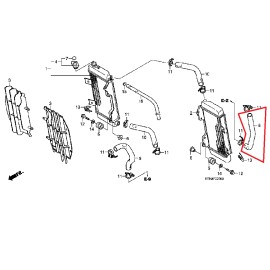 HONDA OEM HONDA RADIATOR WATER COOLANT HOSE CRF250R 2004-2009 CRF250X 04-2017