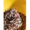 French Marigold Sparky Mix, Beautiful Colors, Garden Pest Deterrent FREE