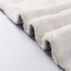 NANPIPER Sherpa Blanket Twin Thick Warm Blankets for Winter Bed