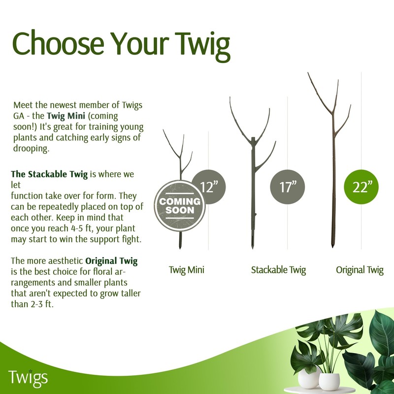 Twigs GA - Plant Support Stakes, Stem Holder Structures for