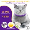 PetAtlas 4 Pack Calming Collar for Cats – Pheromone Cat
