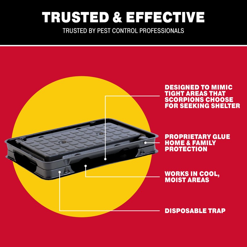 Catchmaster Scorpion Glue Tray Traps 6-Pack, Adhesive Scorpion Killer for