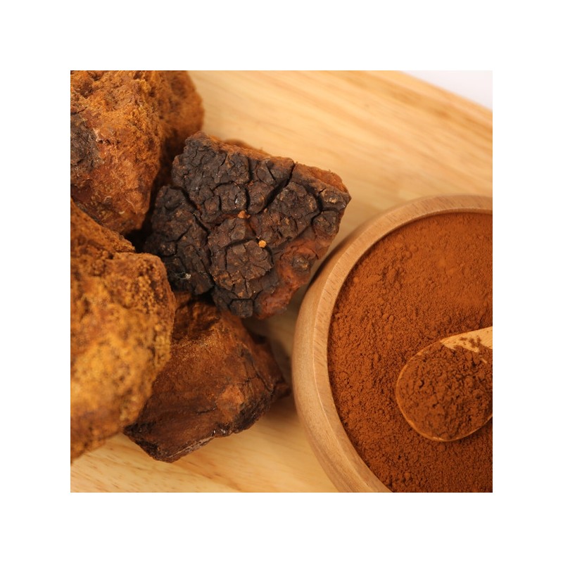 Chaga Mushroom Powder 500g 5 pieces Premium 100% Russian Chaga