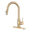RULIA Kitchen Faucet, Kitchen Sink Faucet, Sink Faucet, Pull-Down Kitchen