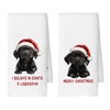 CUANFDDSF Christmas Black Labrador Retriever Kitchen Towels Set of 2,