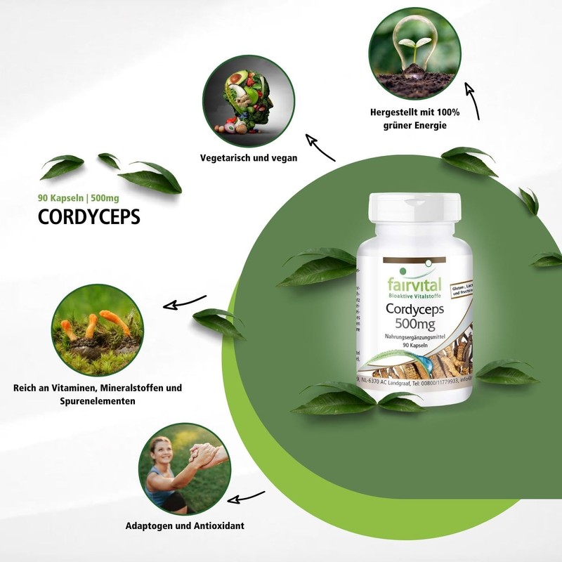 Fairvital Cordyceps Capsules - 500 mg Cordyceps Mushroom Powder per