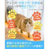 アニハ 猫用 乳酸菌サプリ【獣医師監修】24種の乳酸菌配合 腸活・吐き戻し・お腹の健康サポート 60粒入り