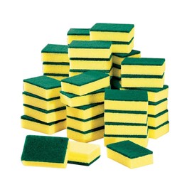 50 Pc Sponge Set