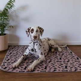 Dry Paws - Coffee Reusable Puppy Pads - Accident Proof - Ultra Absorbent - Washable Dog Pee Pads - Multi-Purpose Protection - Waterproof Dog Mats for Floors - Small (S)