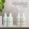Alice + Co. Shampoo & Conditioner | Lavender & Eucalyptus