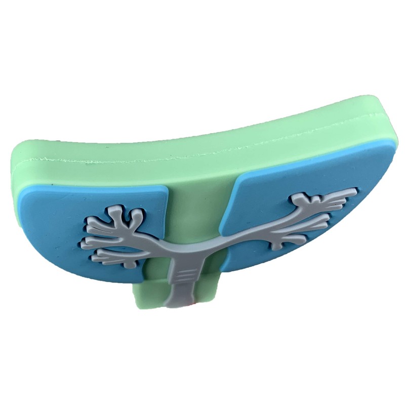 Medical Lungs 32 GB USB Flash Drive