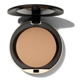 Polvo Conceal + Perfect Shine-proof Powder 06 Beige