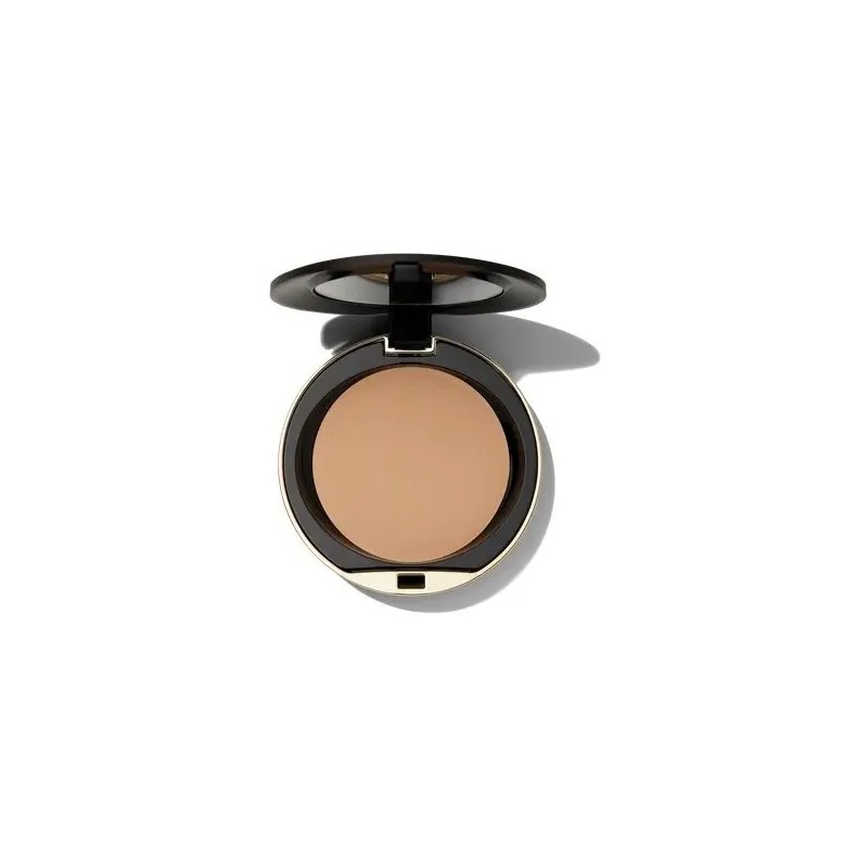 Polvo Conceal + Perfect Shine-proof Powder 06 Beige
