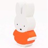 Miffy/TM-MIF-0101 Photo Book TM-MIF-0101