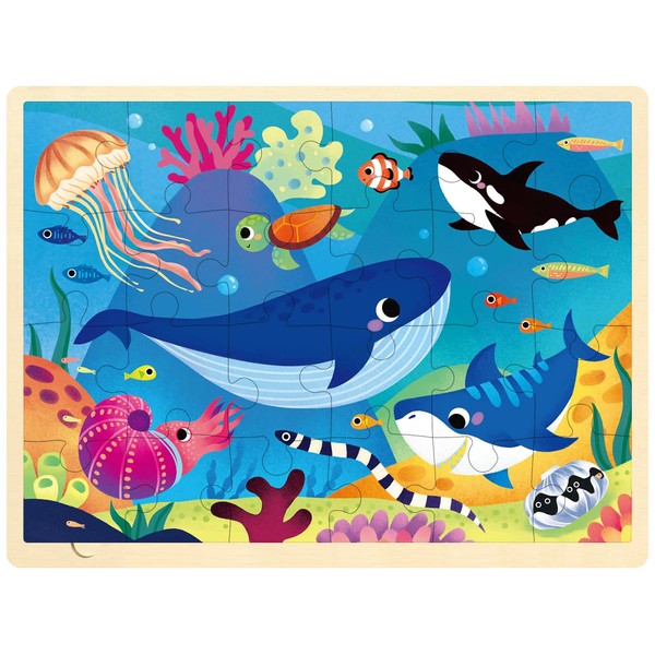 MoinKidz 24 Piece Puzzles for Kids Ages 3-5, Unique Shape
