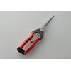 Takagi Stainless Steel Blade Long Sprout Cutting and Picking Shears,