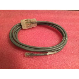 American Cable 110B-5GRY-008N Standard Cat-5 Patch Cord