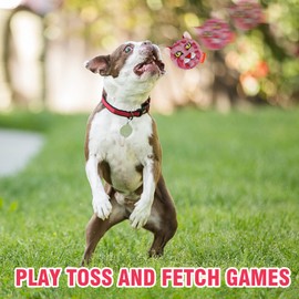 DKING 3Pack Squeaky Dog Balls,2 in1 Funny Puppy Ball Toys,Birthday Dog Toy for Small Medium Dogs (Animal Ball)