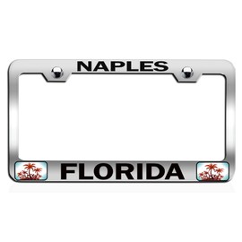 Custom Brother - Naples Florida Beach Summer Surf Surfing Chrome Steel Auto SUV License Plate Frame License Tag Holder, T1