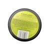 Trader Joe’s Woodlands Scented Candle, Soy Wax, Coconut Oil &
