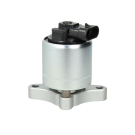 Delphi EG10003-12B1 Egr Valve