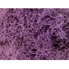 SuperMoss (25158) Reindeer Moss Preserved, Lavender, 8oz Bag