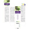 Sage (Salvia officinalis) Leaves Alcohol-Free Original Tincture Natural Alma Liquid