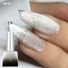 ROZYHIP Siver Collection Metallic Style Gel Nail 10ml, Color:RG01
