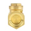 DN40 Check Valve1-1/2 BSP Swing Check Valve Non-Return ValveBrass Non-Return