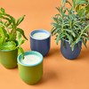Modern Sprout Garden Vibes 2-in-1 Soy Candle & Planter -