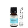 Polente Natural - Okaliptus Uçucu Yağı (10 ml)