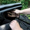 Yutrax Universal Mount ATV Backrest, Heavy-Duty Steel Seat Frame, Adjustable