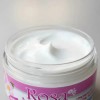 Crema Facial Regeneradora De Rosa Mosqueta 100ml Chic Style