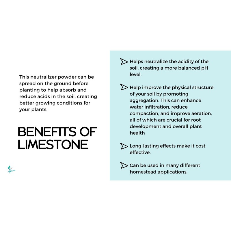 1 Pound Calcium Carbonate Limestone Powder by The Seed Supply