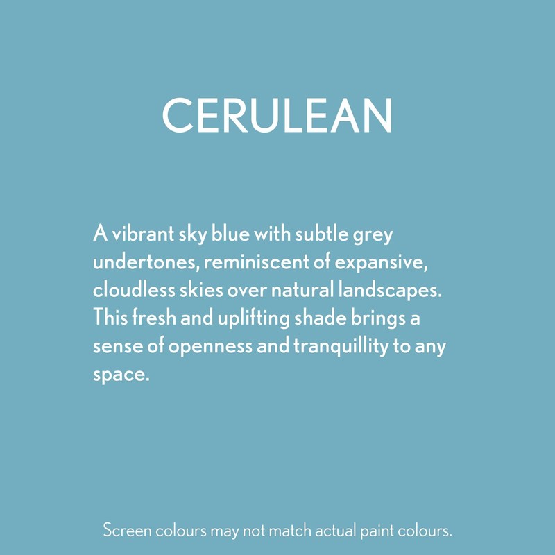 Guild Lane Bleo Fabric Paint – Upcycle & Transform Textiles,