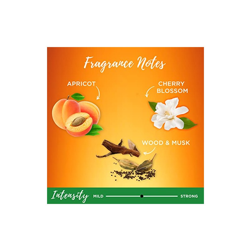 Garnier Whole Blends Illuminating Conditioner Moroccan Argan and Camellia Oils