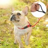 AIMALL Dog Training Correction Leash Lead Cesar Puppy Pets Millan