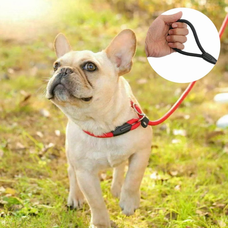 AIMALL Dog Training Correction Leash Lead Cesar Puppy Pets Millan