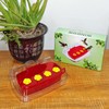 HCGADON Window Hummingbird Feeder, Plastic Humming Bird Feeder with 3