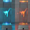 Taekwondo Trophy Crystal Kick EF-10 / 태권도 트로피 크리스탈발차기 EF-10