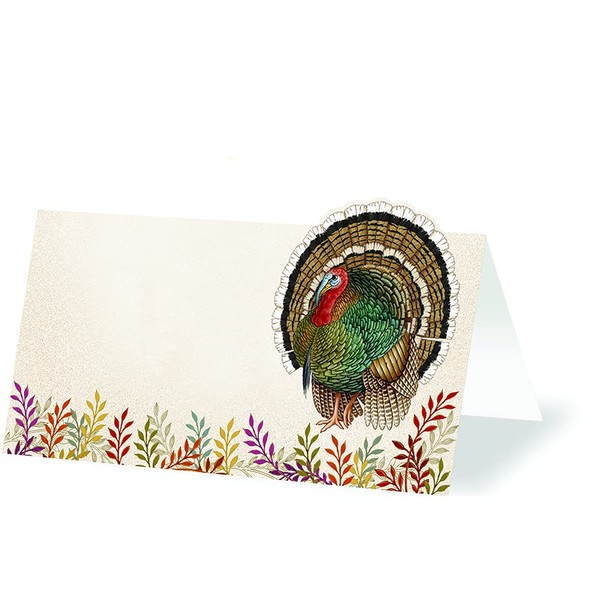 Design Design Woodland Placecards for Table Settings, Classic Thanksgiving Placecards, Pak of 16 Turkey Name Place Cards Die Cut Tent Cards, No Place Card Holders Needed