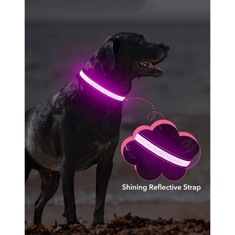 Weesiber Light Up Dog Collar, USB Rechargeable LED Dog Collar