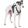 LufeLux Non-Restrictive Dog Harness, Easy Walk Freedom No Pull Harness,