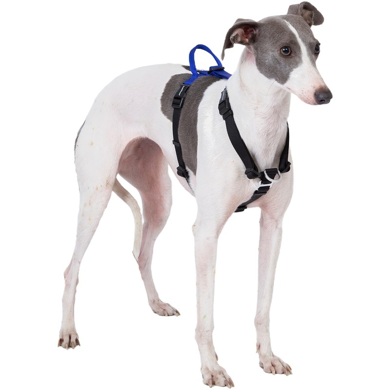 LufeLux Non-Restrictive Dog Harness, Easy Walk Freedom No Pull Harness,