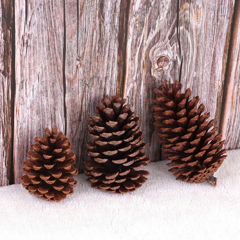 Qlisytpps 25 PCS Christmas Pine Cones Natural larch cones white