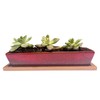WISH HALLY WOOD 9.8inch long red rectangle Ceramic Succulent Planter